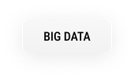 BIG DATA