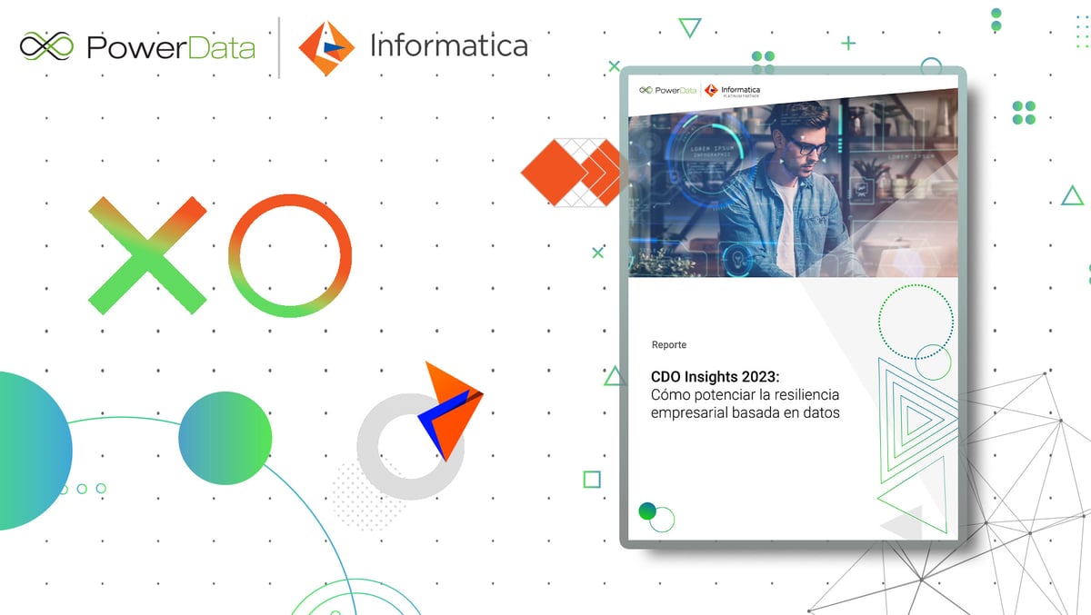CDO Insights 2023